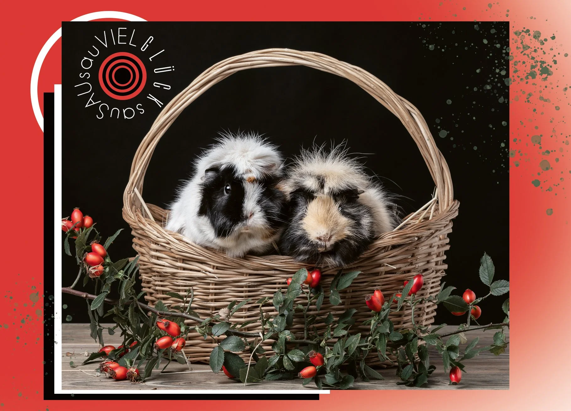 28 A_glück_sauviel glück_meerschweinchen korb_vorderseite Kopie.jpg
