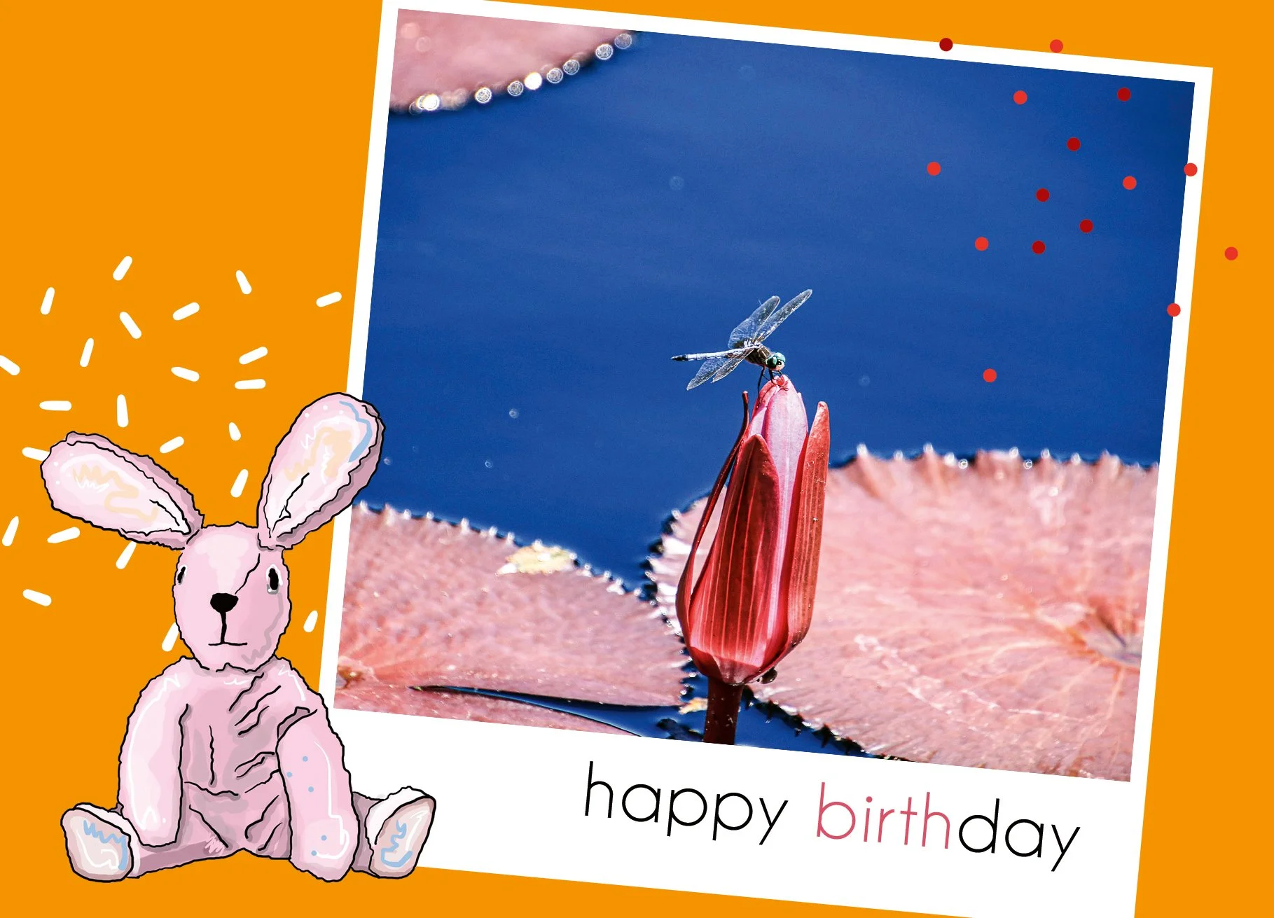 5 A_geburtstag_happy birtday_libelle auf seerose_vorderseite Kopie.jpg