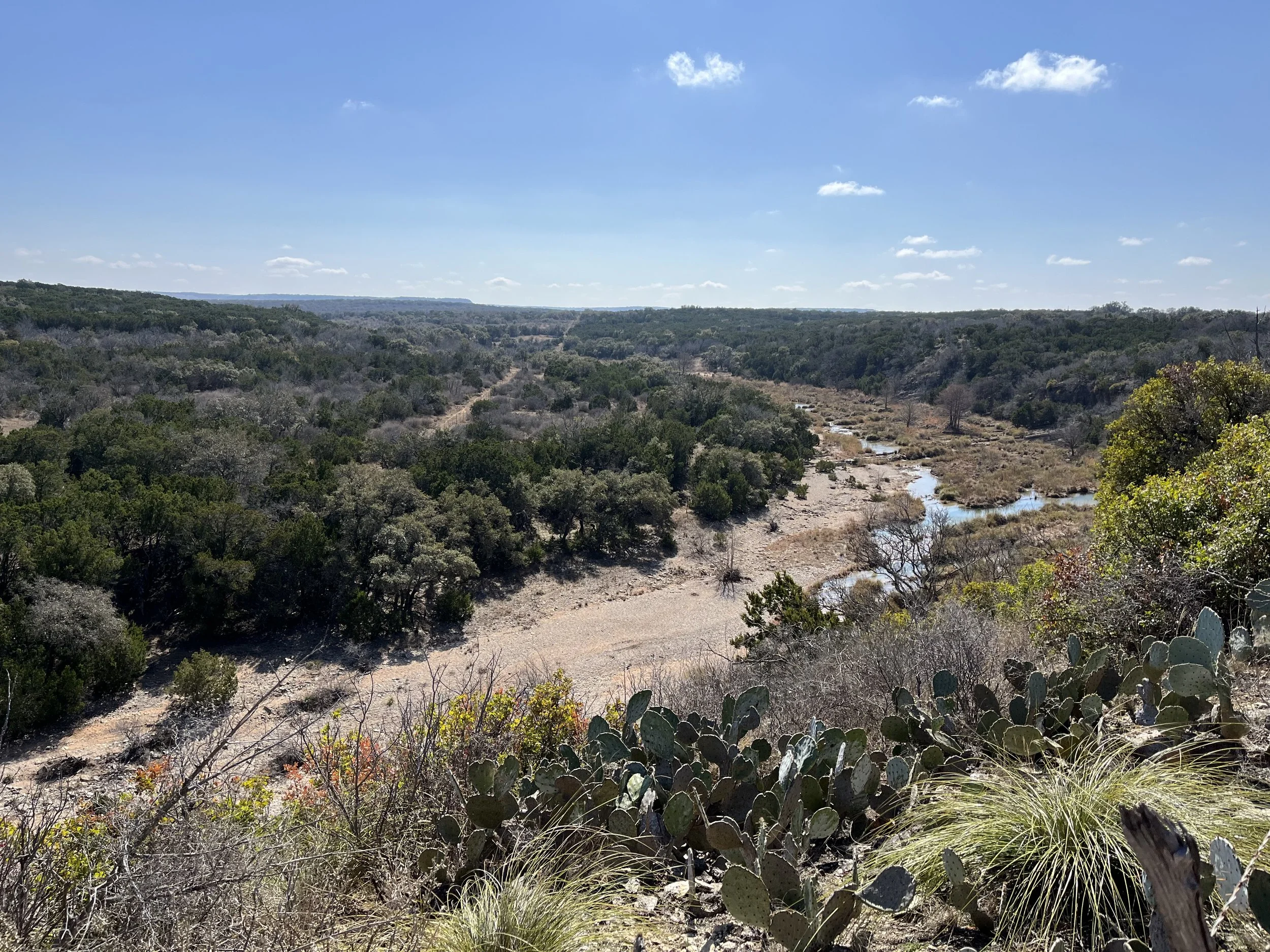 Threadgill creek from the bluff