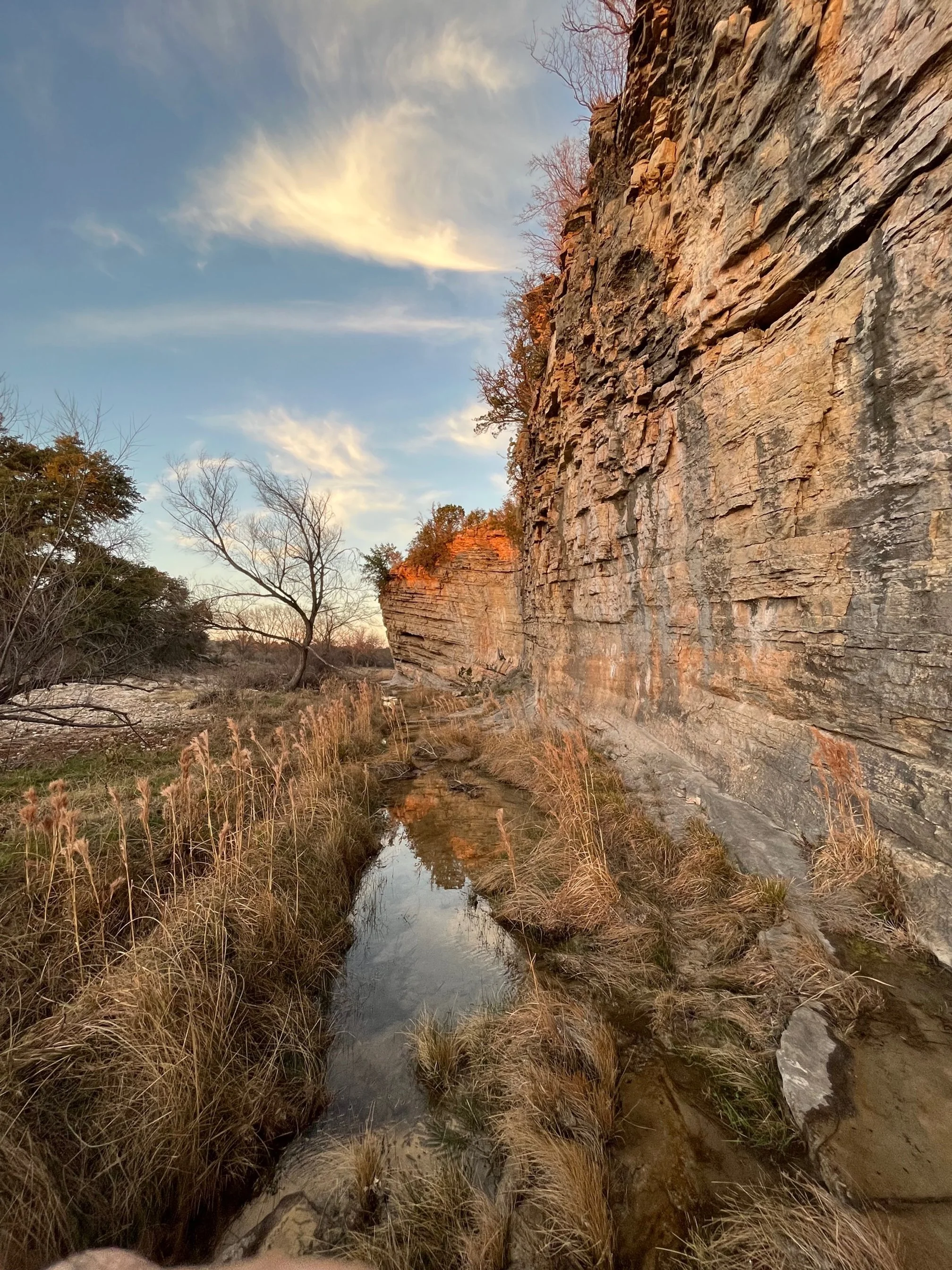 A rocky cliff on the right with exposed layers, a dry creek bed with sparse grass, leafless trees, and a partly cloudy sky at sunset.