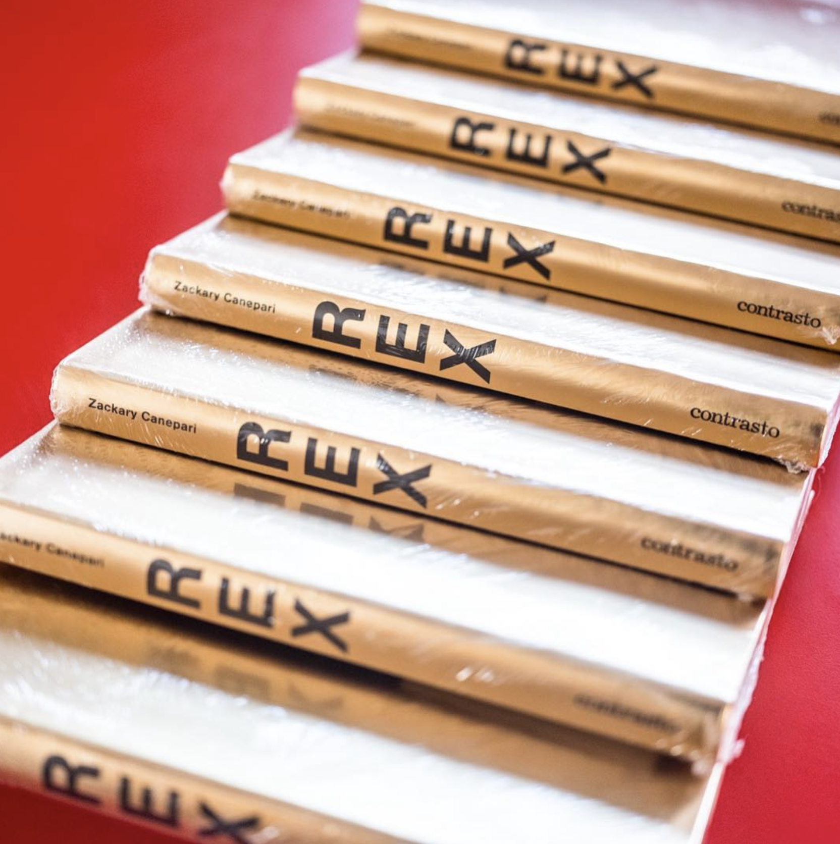Close-up view of several stacked hardcover books titled 'REX' with the author's name 'Zackary Canepari' visible on the spine, placed on a red surface.