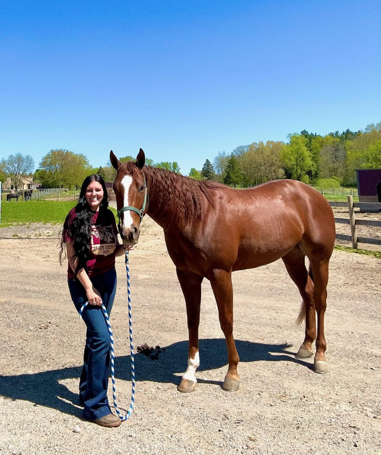 We are excited to welcome Slider- (WALLA WALLA WHIZ X COLONELS SMOKING GUN X SHINING SPARK X GUNS R REDDY) to our barn, owned by our talented rider and trainer, Summer. We cannot wait to see what these two accomplish as a team!