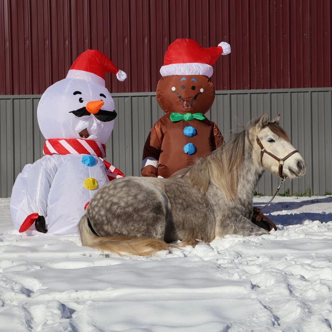 e2b1fcddc31e95aba78cdbf36bad3639 (1).jpeg