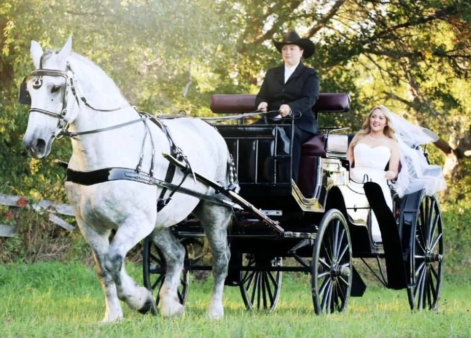 469331580_602523469019236_5492370149075548504_n (1).jpg