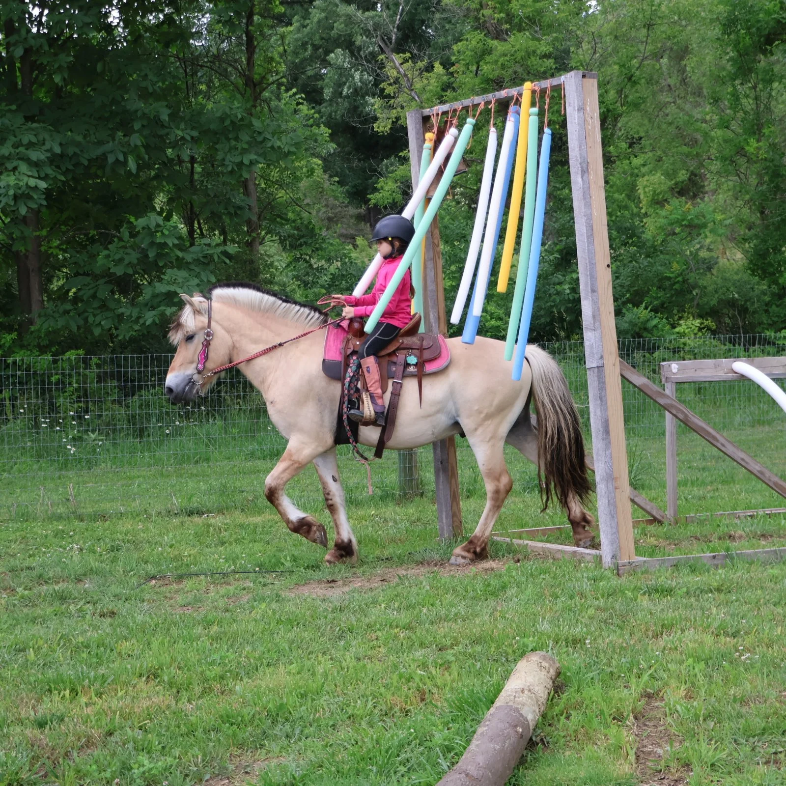 IMG_7000.JPG