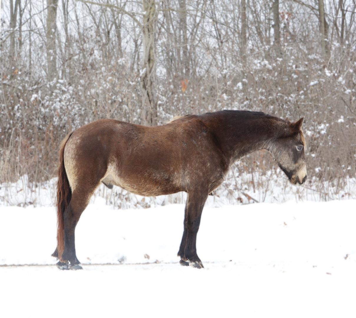 25a751a1184bfa8c86d350d4ea721c68 (1).png