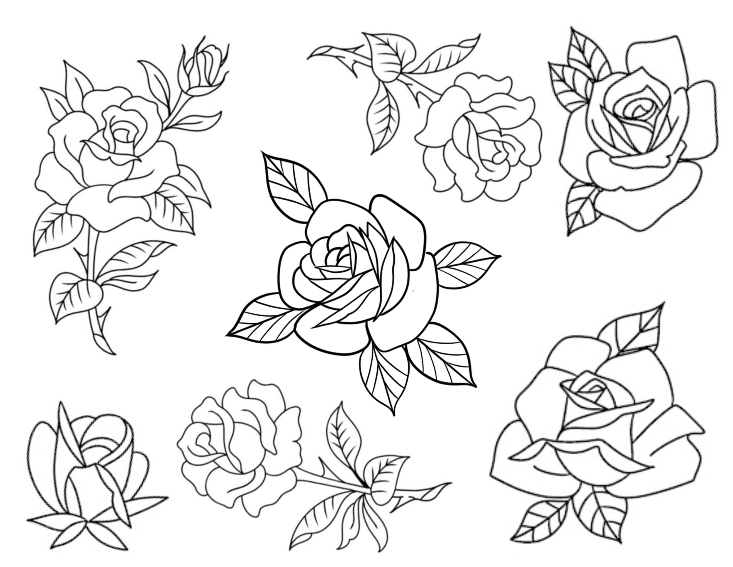 IMG_0701.PNG
