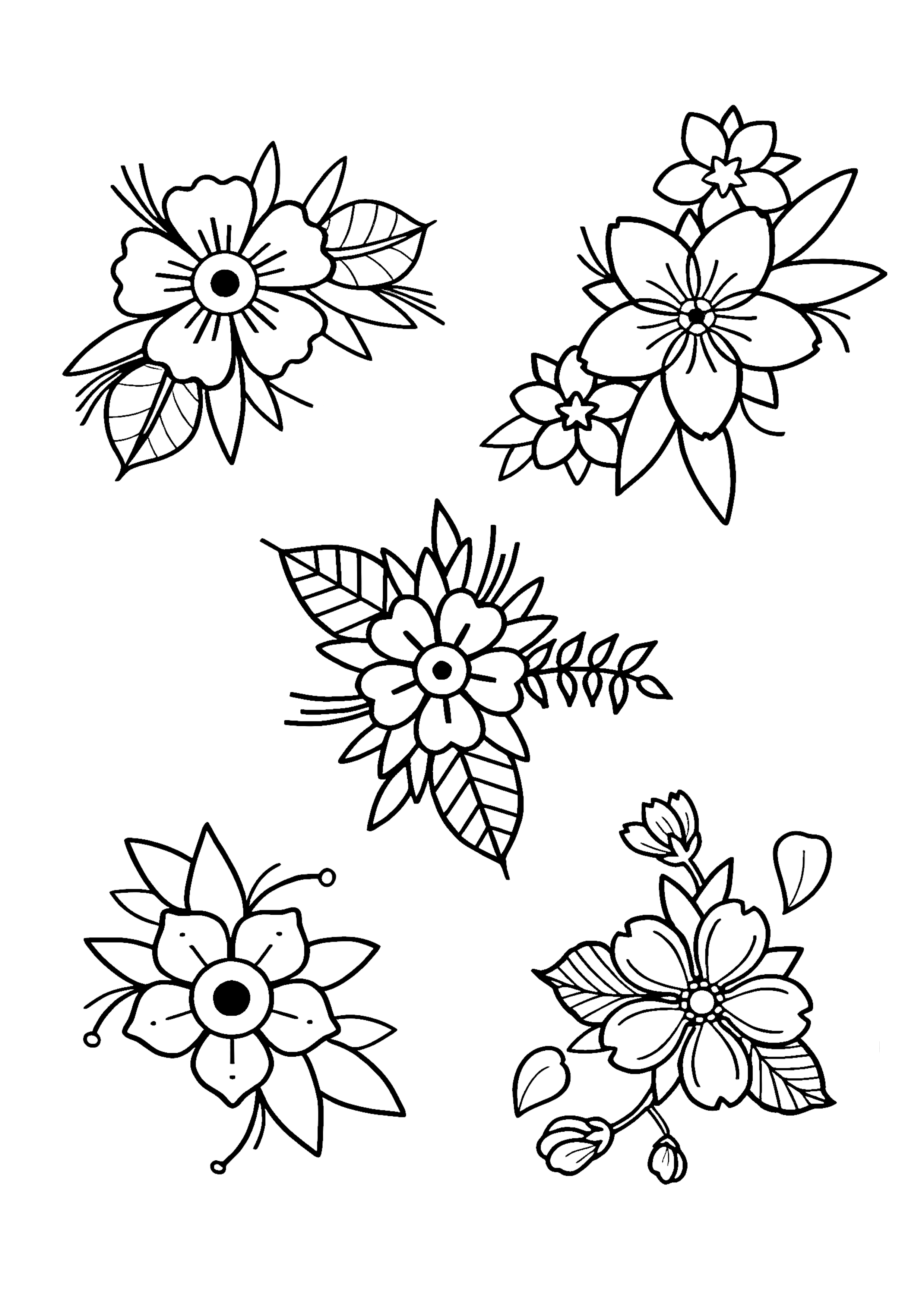 IMG_1712.PNG