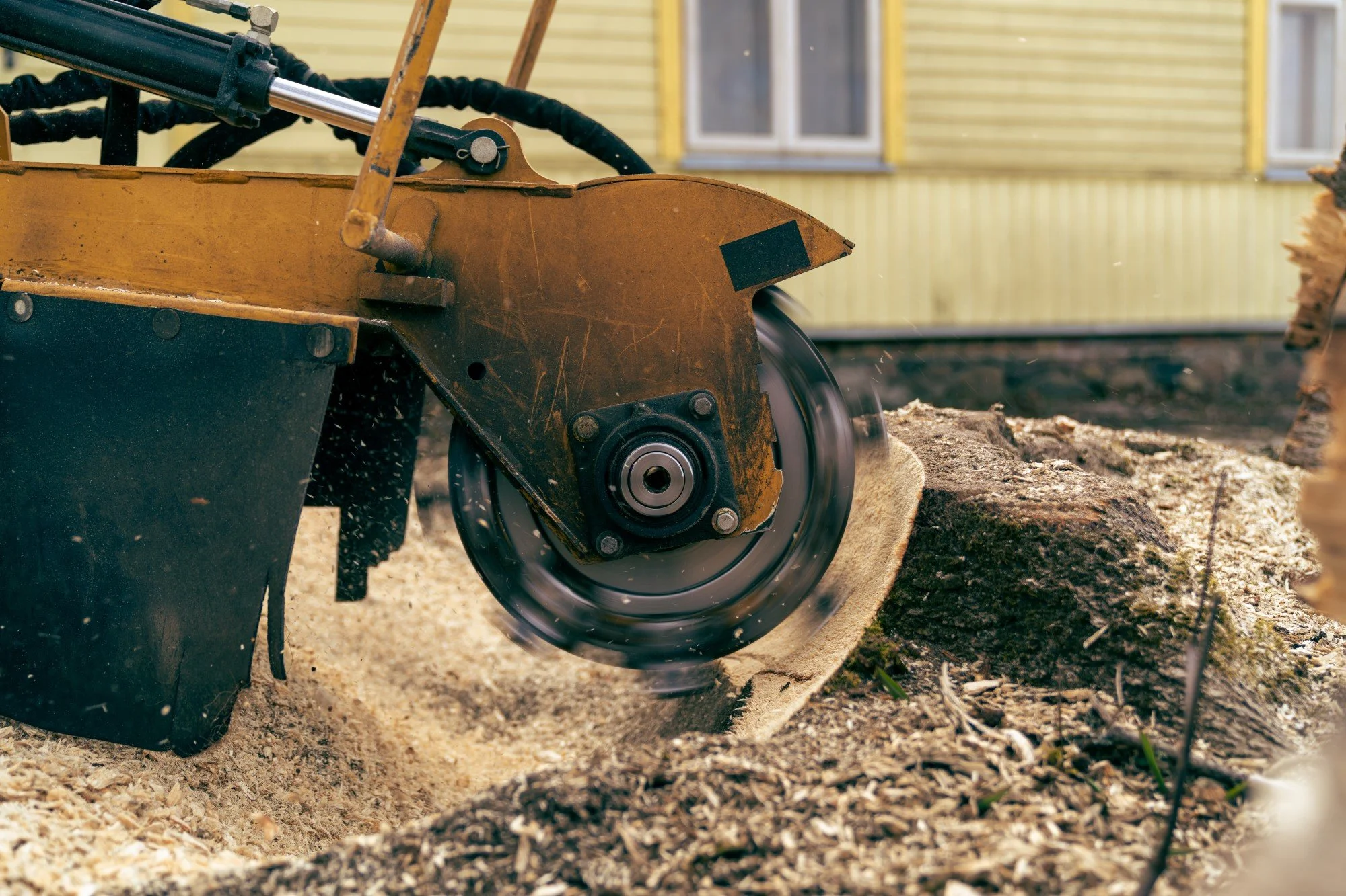 Stump Grinding in Greenville, SC