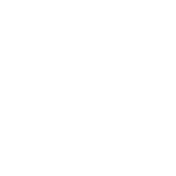 Terra Tree Works gallery 4