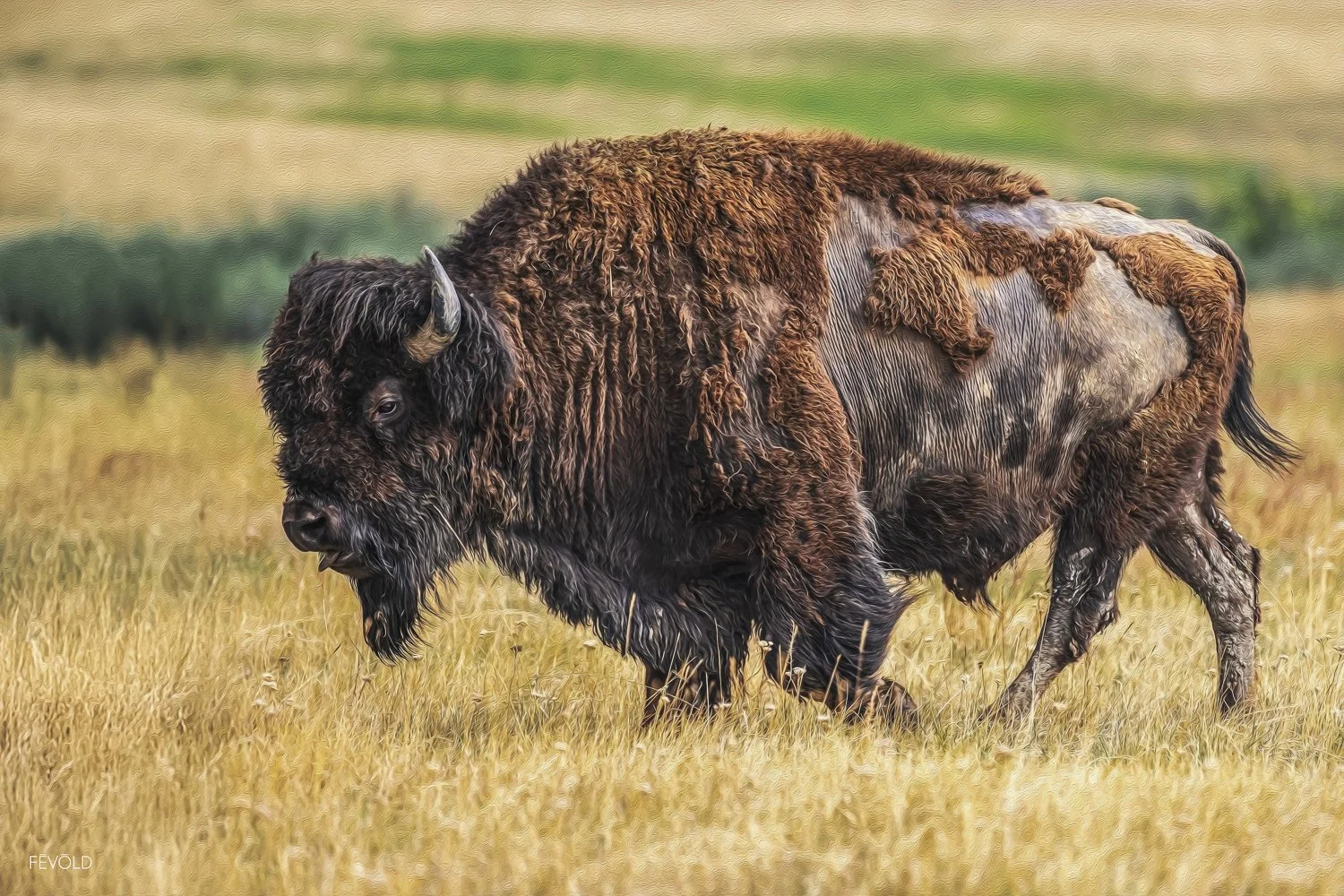Living History In The North Dakota Badlands.jpg