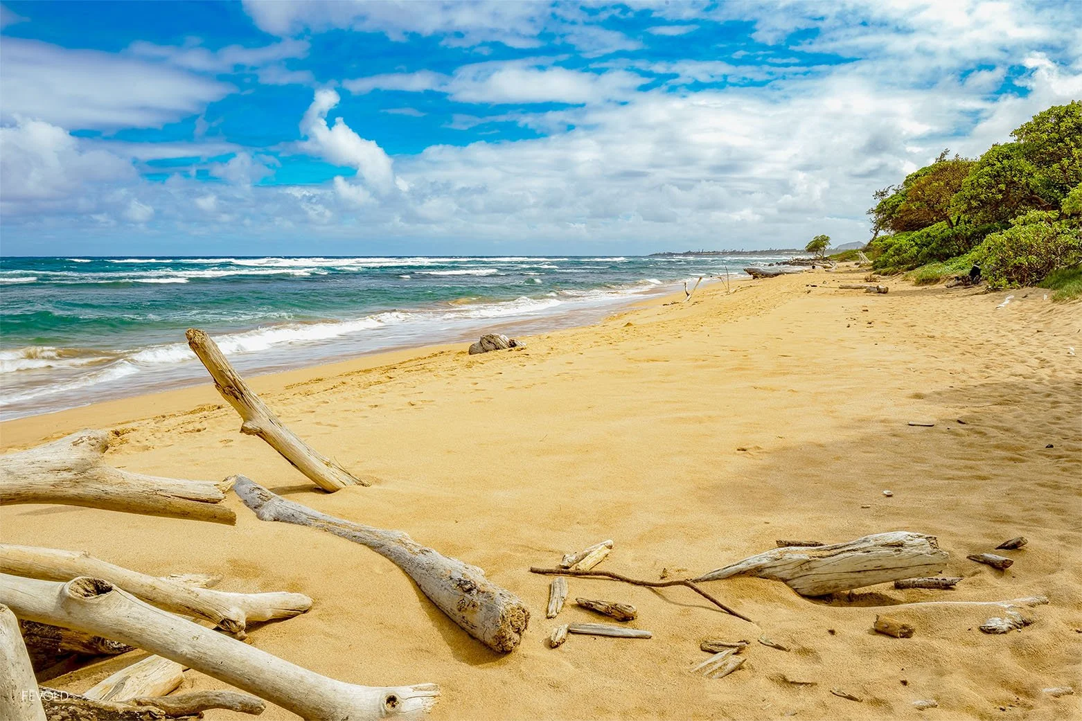 Chill'n With Lynn At Lydgate Beach (small).jpg