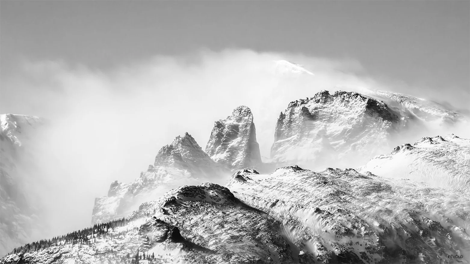 Snowblind (small).jpg