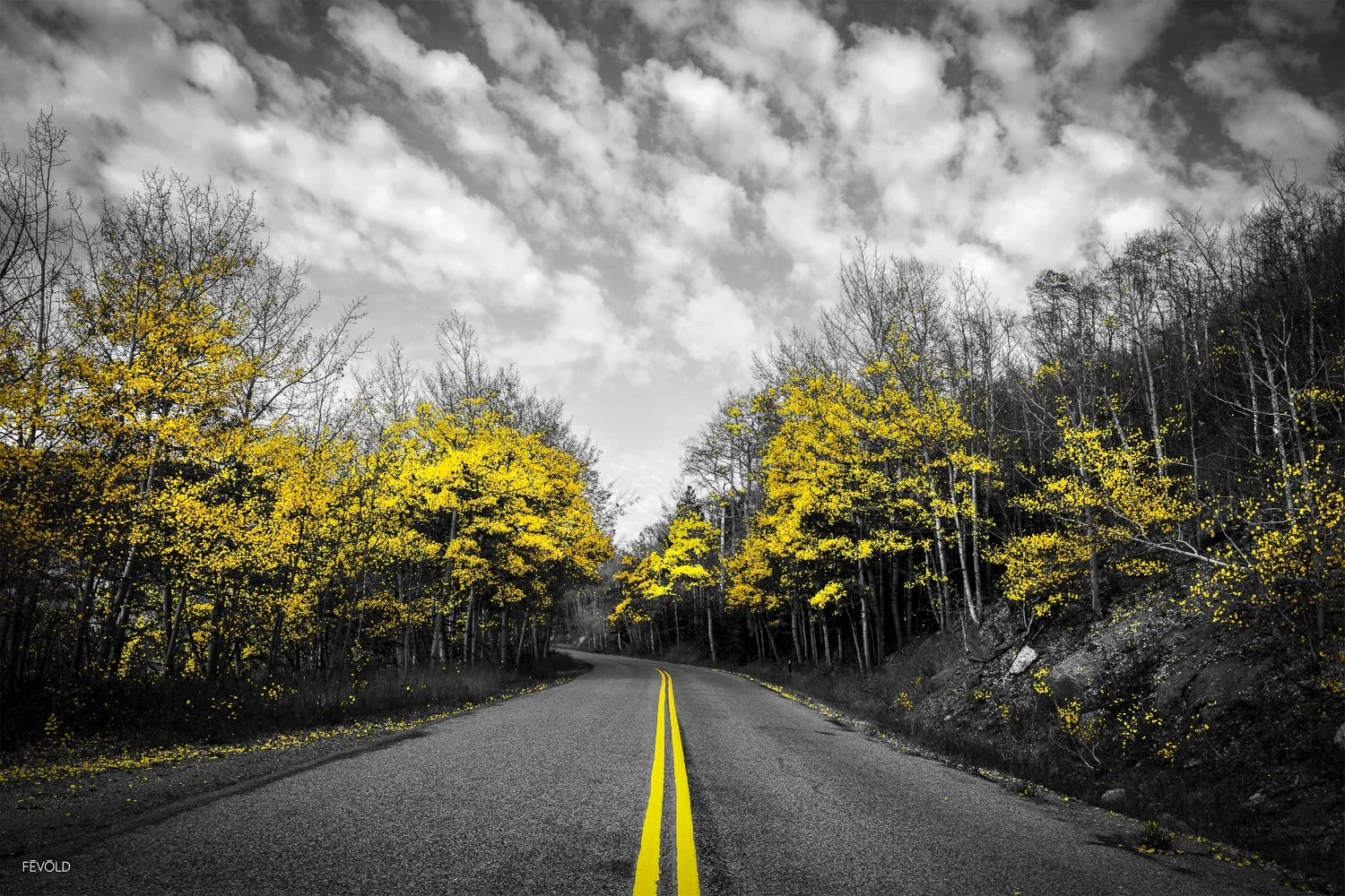 LAST GLIMPSE OF AUTUMN.jpg