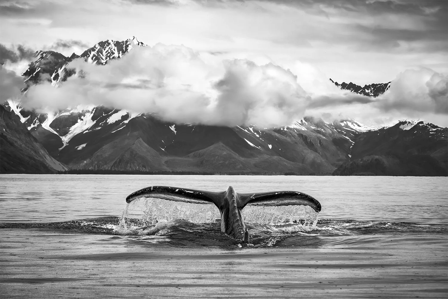 Ripping The Veil Of A Shrouded  Abyss (small).jpg