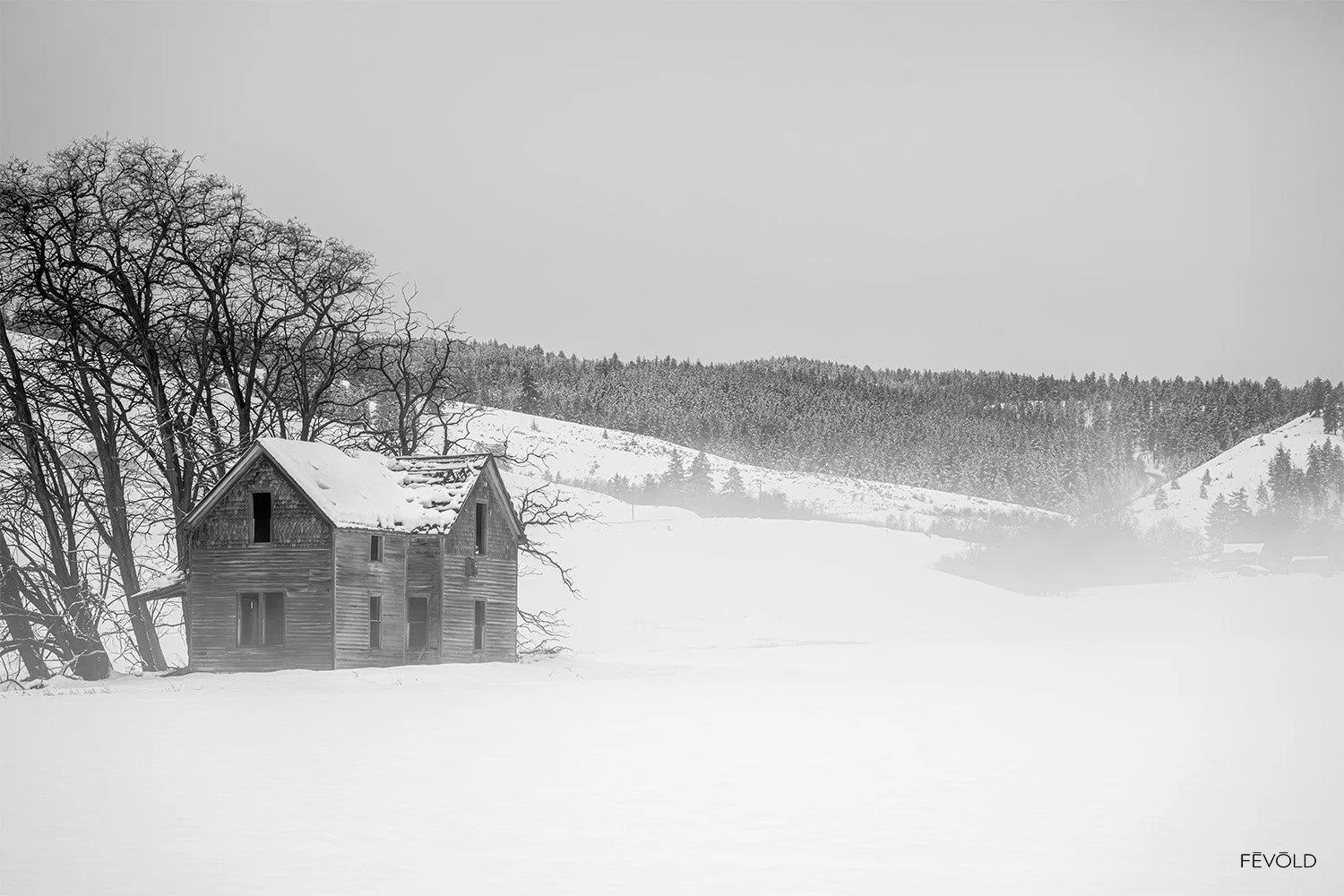 MELANCHOLY(small.jpg