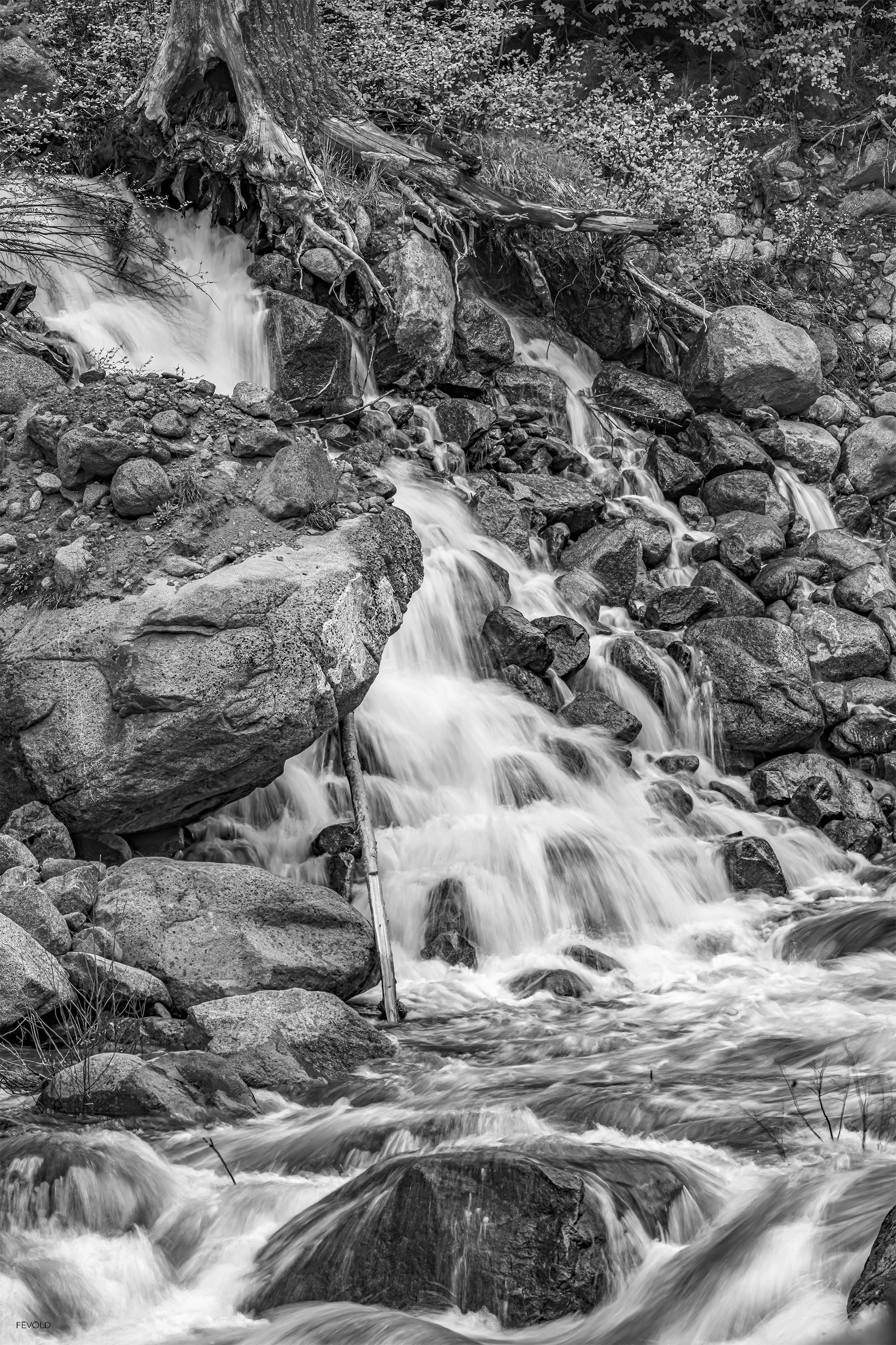 Torrent Veins copy (small).jpg