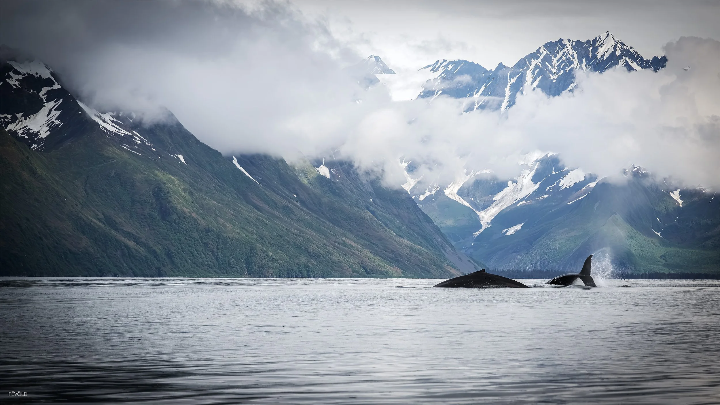Breaking Through Seward's Morning Silence small.jpg