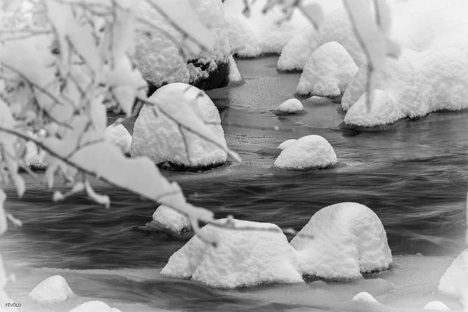Escaping The Frozen Silence (small).jpg