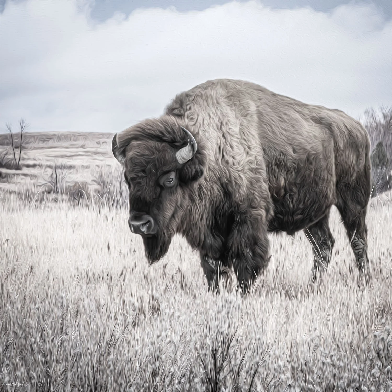 Roaming The Grassland Of The North Dakota Badlands (small).jpg