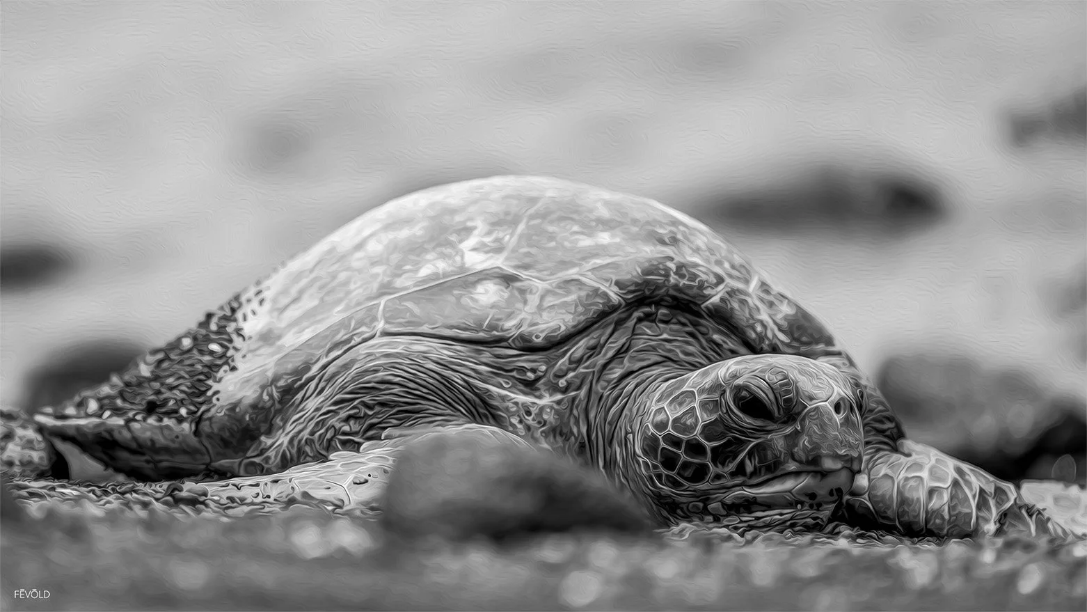 Rock'n Out At Panalu'u Beach, Hawaii - paintography (small).jpg