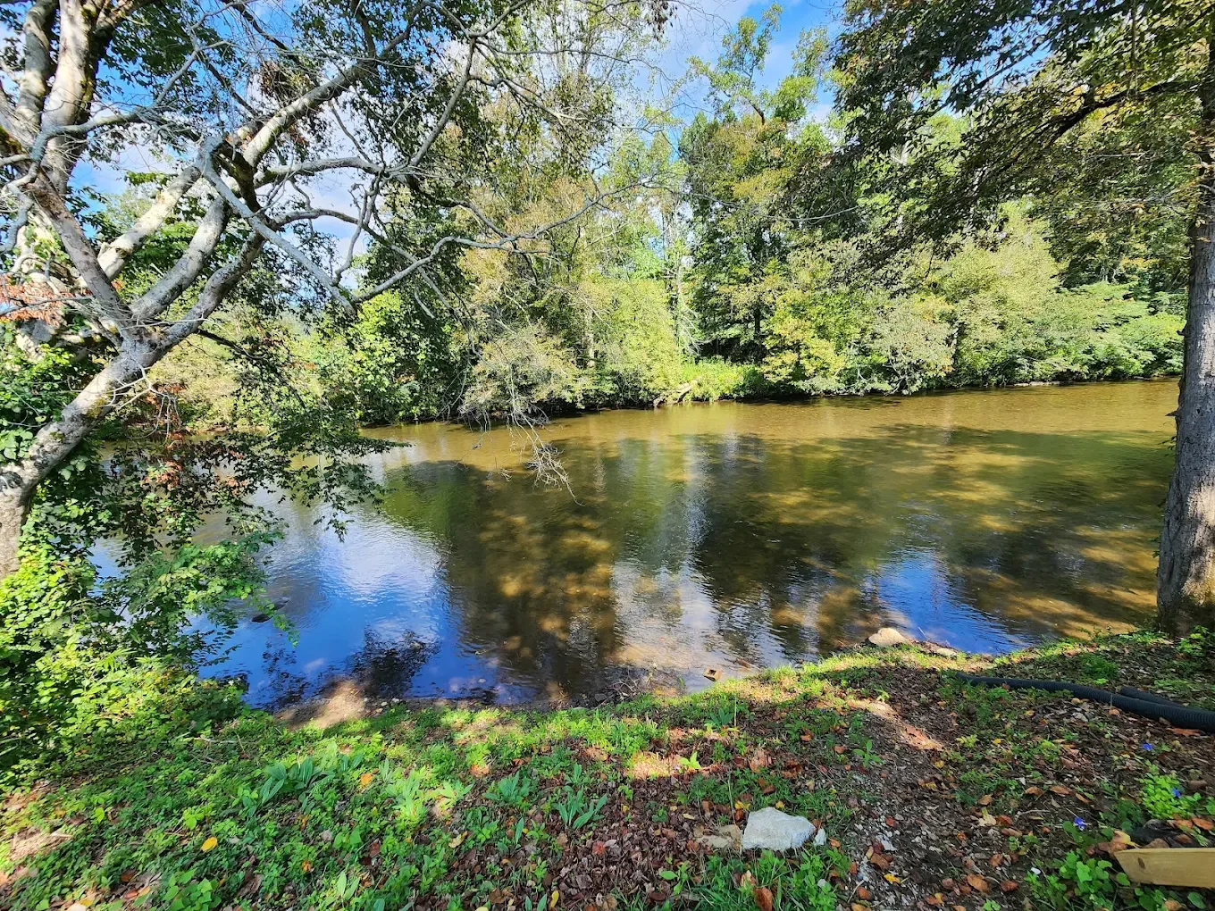 Serene river surrounded by green trees with reflections on the water, under a partly cloudy sky.