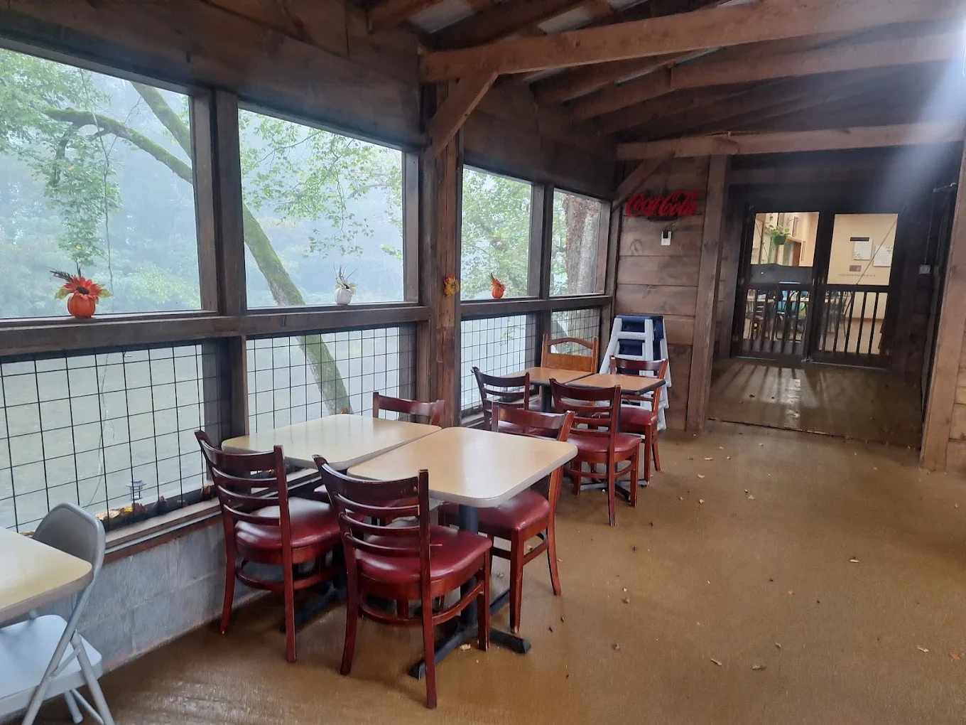 Indoor dining area with wooden walls and ceiling, multiple red chairs around tables, large screened windows overlooking a foggy forest, and decorative fall pumpkins on window sills.