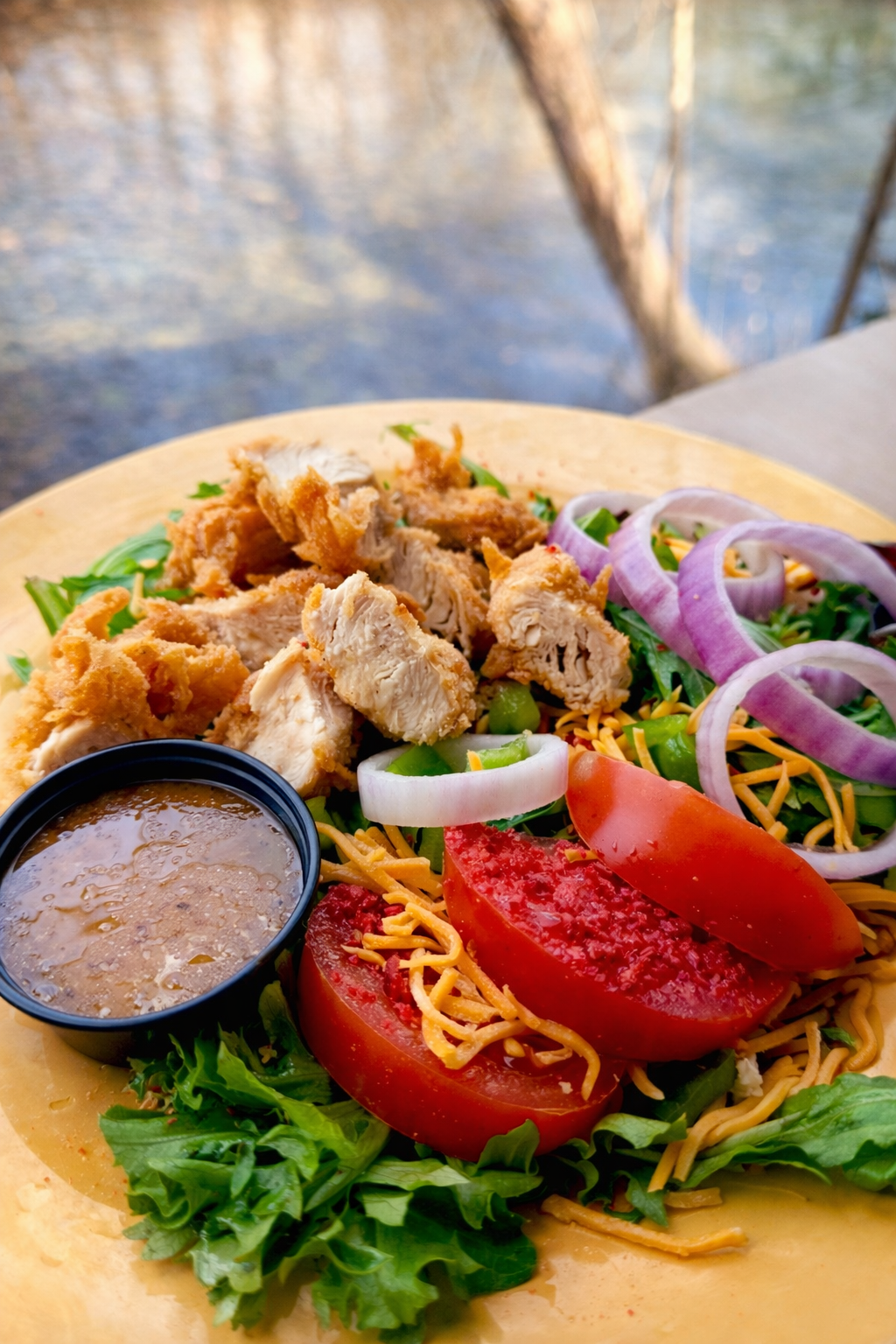 Plate of fried chicken, sliced tomatoes, shredded cheese, lettuce, onion rings, green peppers, and a side of gravy, with a background of water and trees.