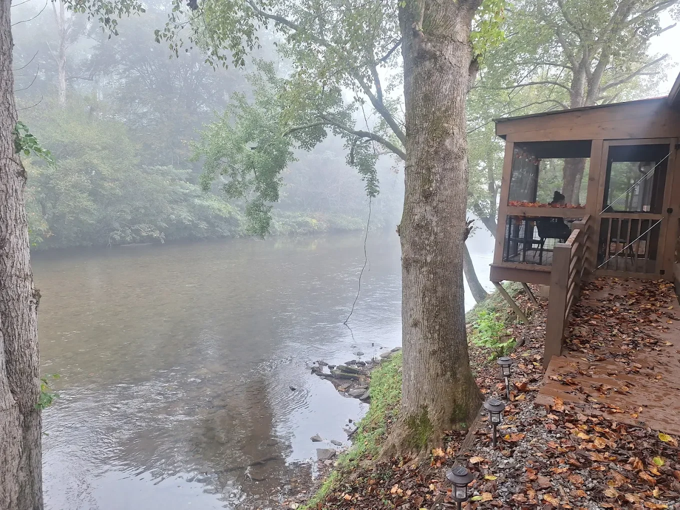 A foggy river view with a wooden house or cabin on the right side, surrounded by trees with fallen leaves on the ground.