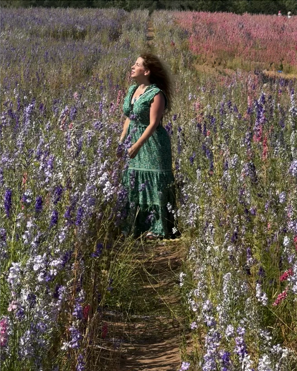 A woman in a green dress, Gemma Pinfield-Thomas, standing in a colourful flower field with purple, white, and pink delphinium flowers, and a pathway in the background.