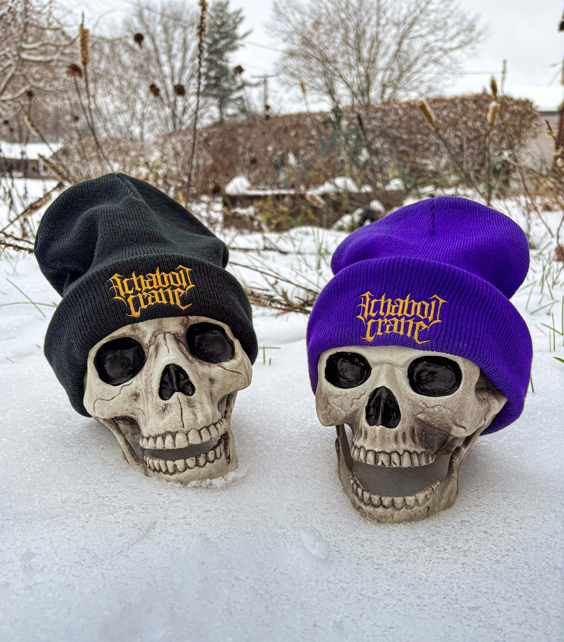 IC logo embroidered beanie