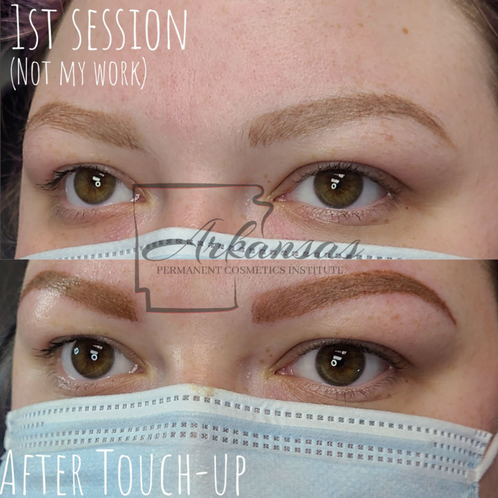 PMU Eyebrows Sample
