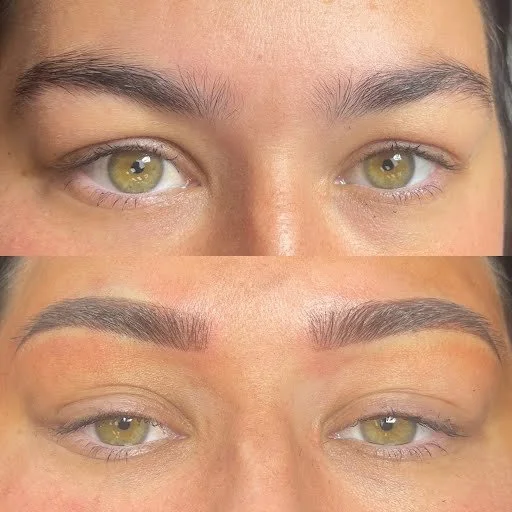 PMU Eyebrows Sample