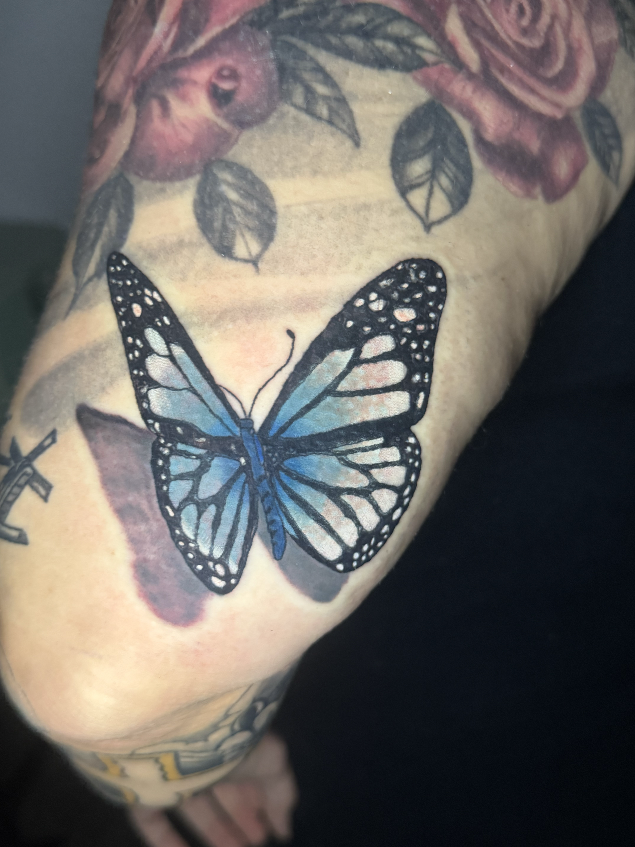 Realism butterfly color tattoo