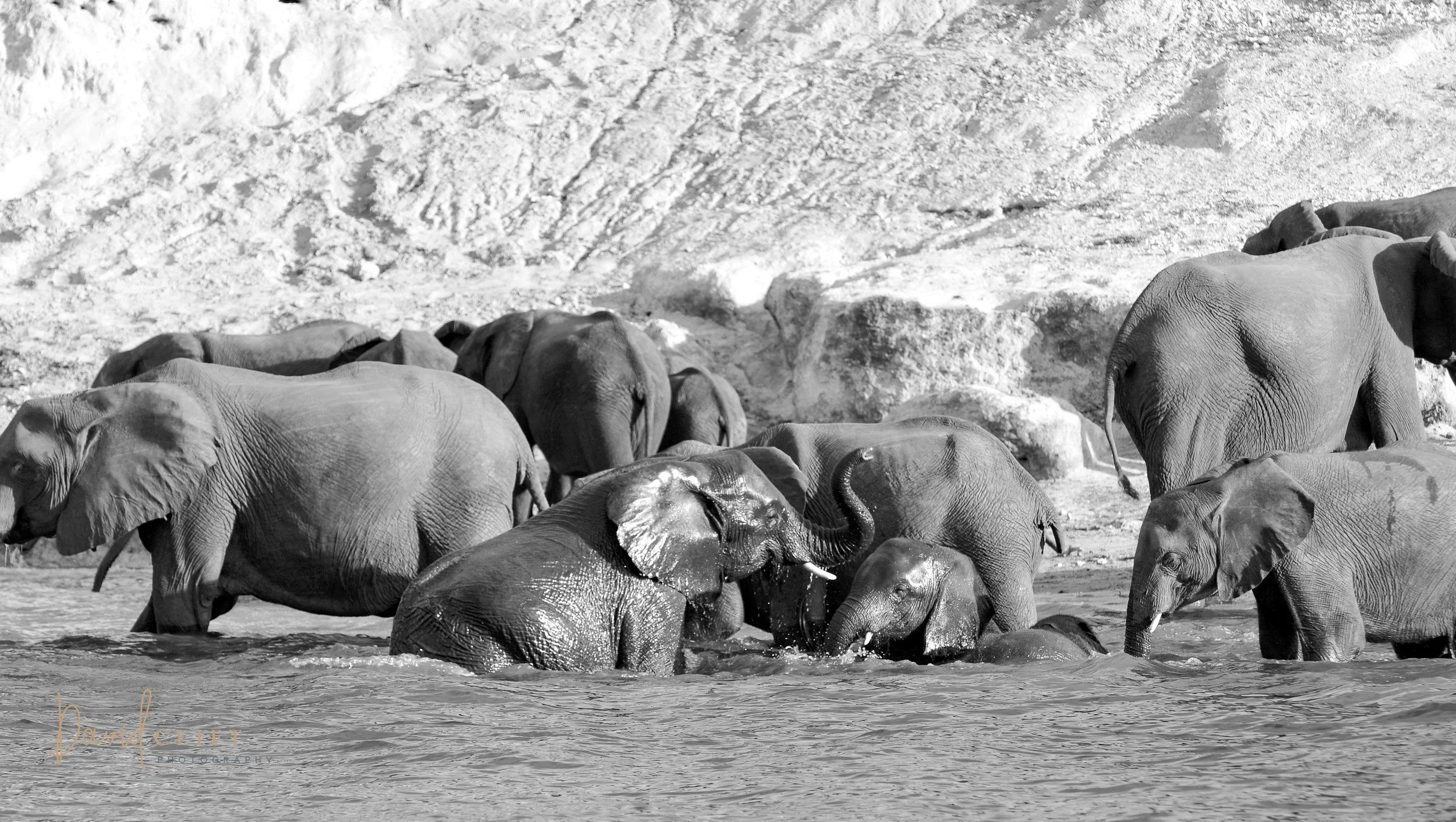 2010  CHOBE AI SET -6.jpg