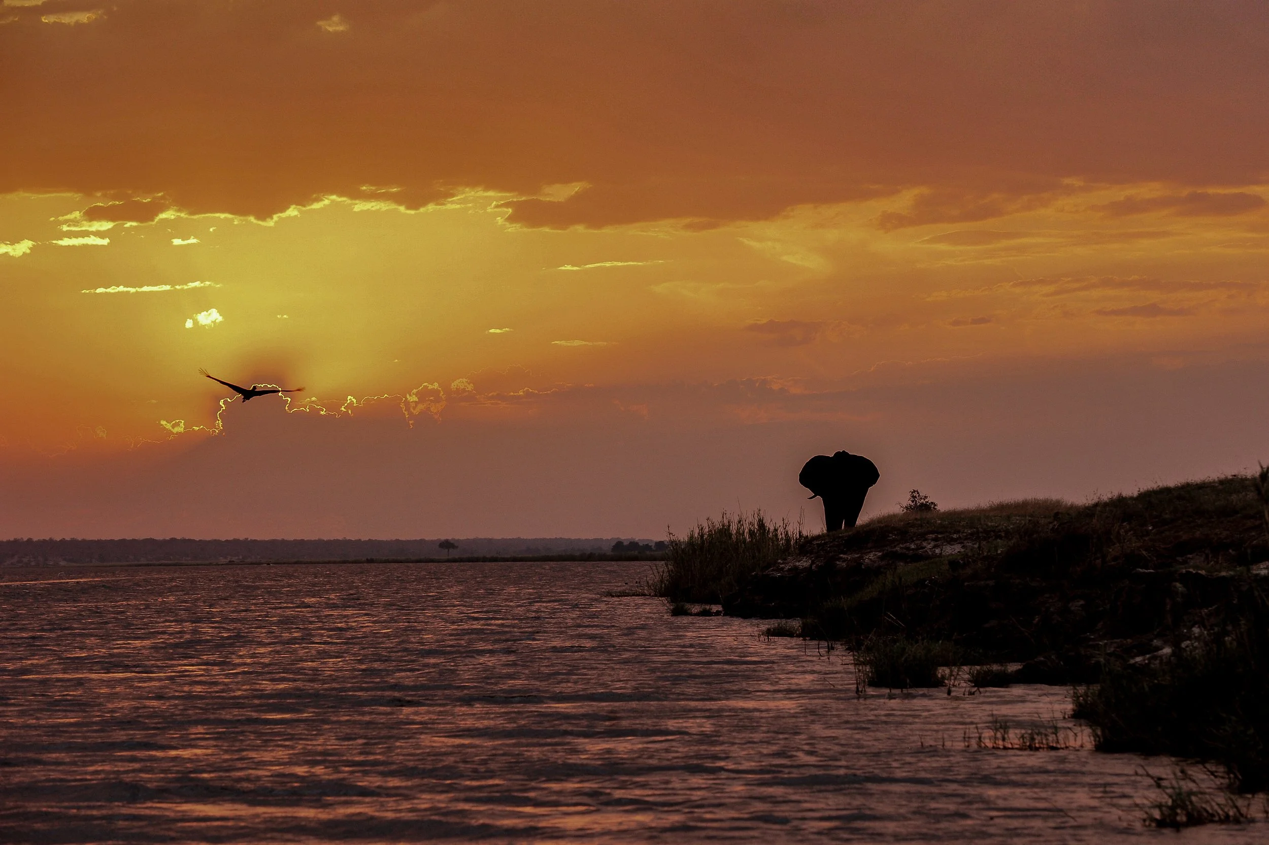 2010  CHOBE SKY -1.jpg