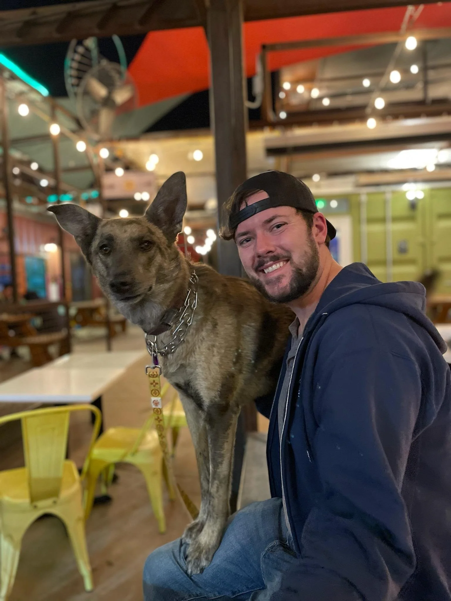 A smiling man wearing a black cap backwards and a navy hoodie is sitting next to a medium-sized dog with a brindle coat. They are in an outdoor or semi-outdoor setting with string lights and bright yellow chairs in the background.
