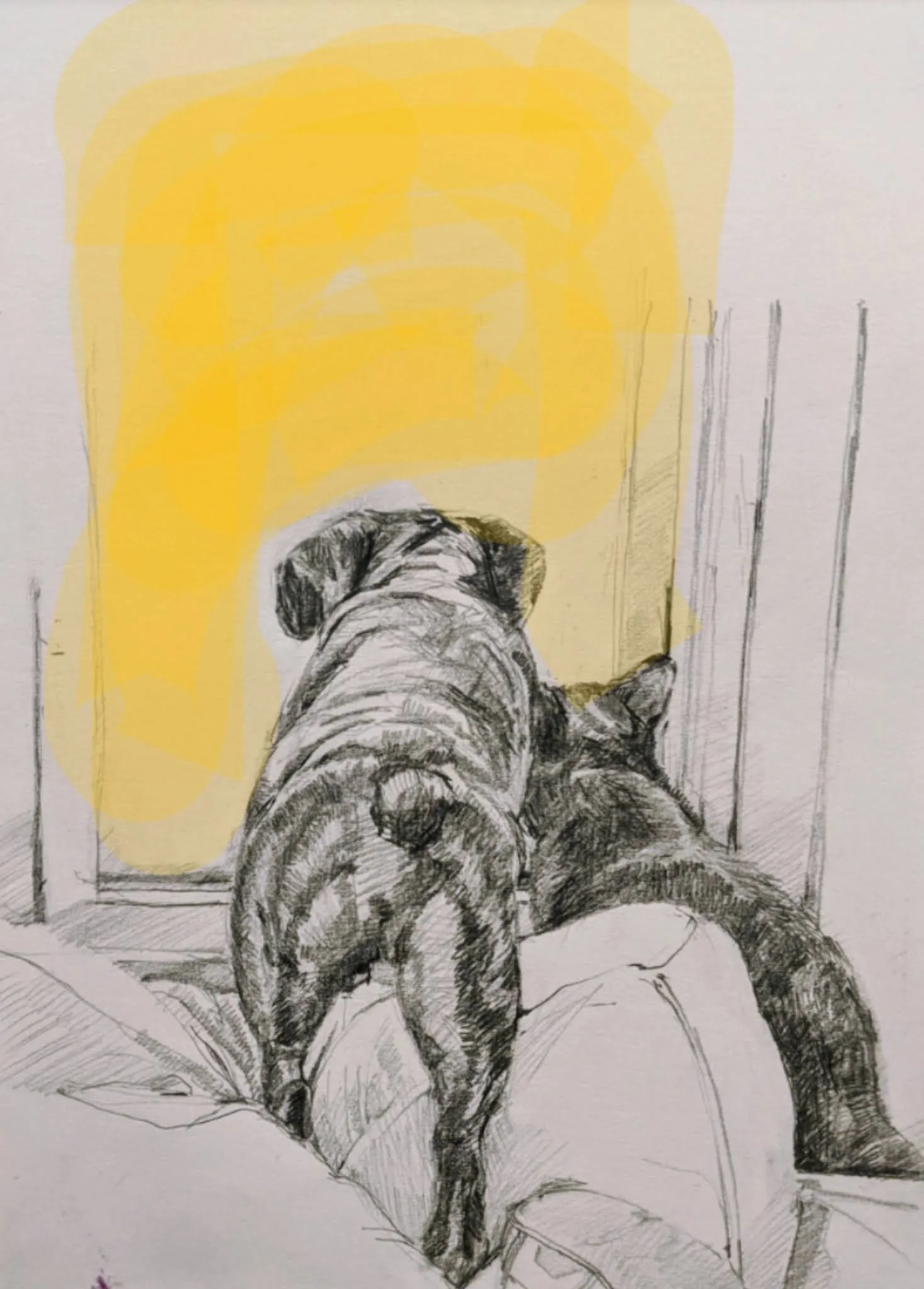 Milly and Ham looking out the window.jpg