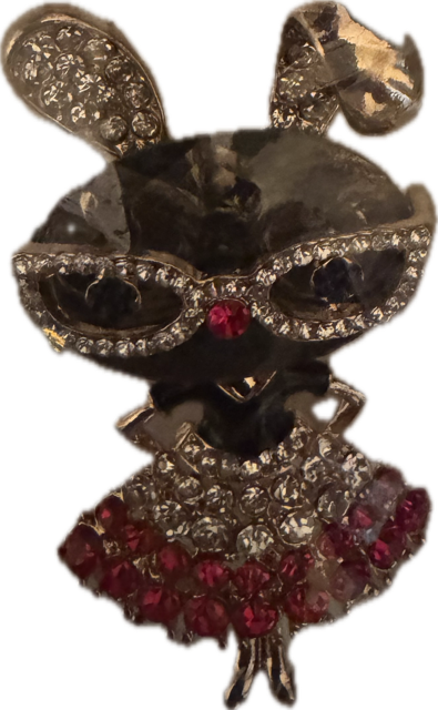 D Renee Star Photography