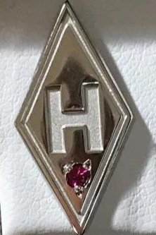 Silver diamond-shaped emblem with a raised letter H and a small red gemstone below it.