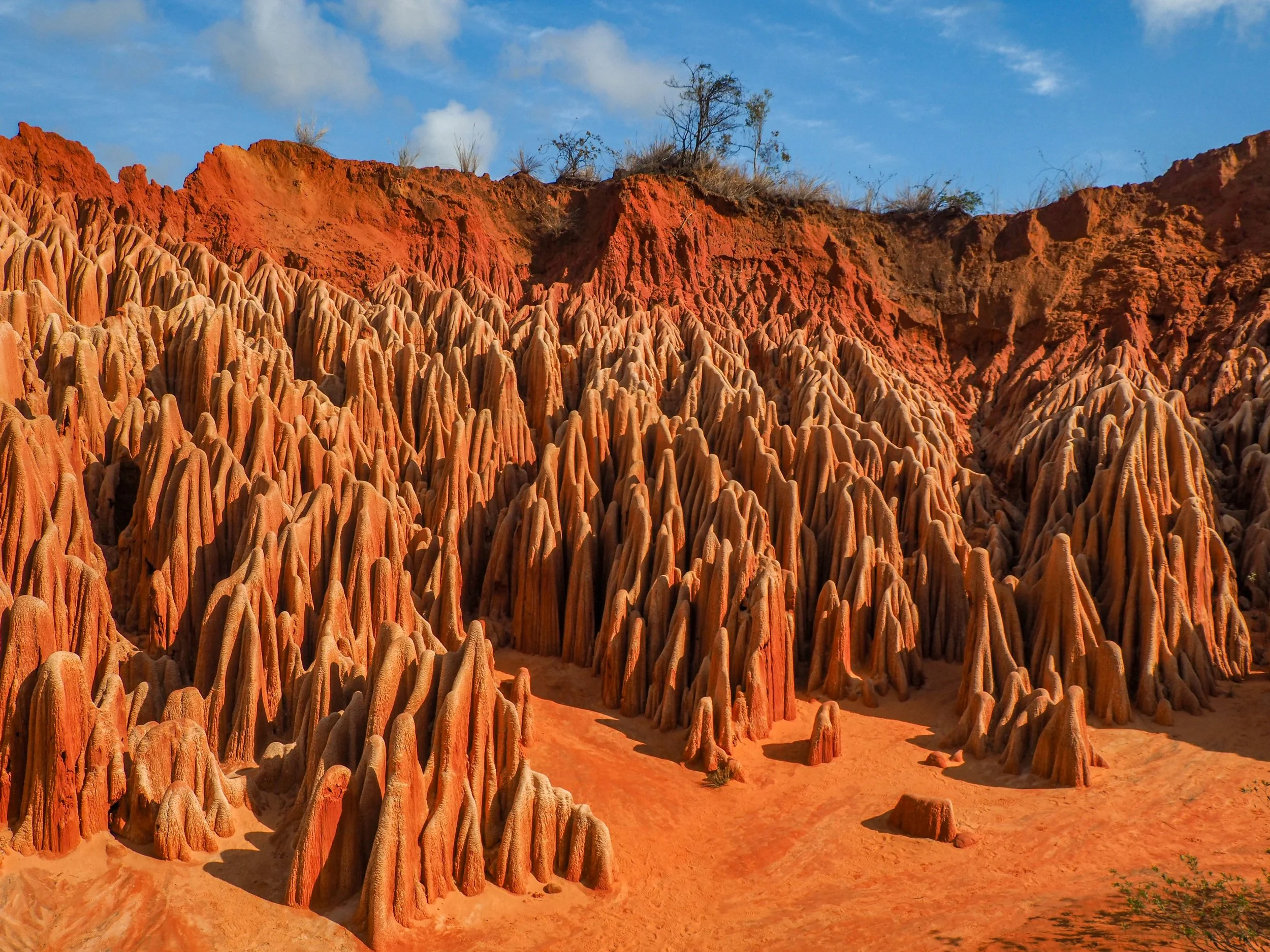Formation rocheuse colorée en forme de pics dans un désert, avec un ciel bleu et quelques arbres au sommet des falaises.