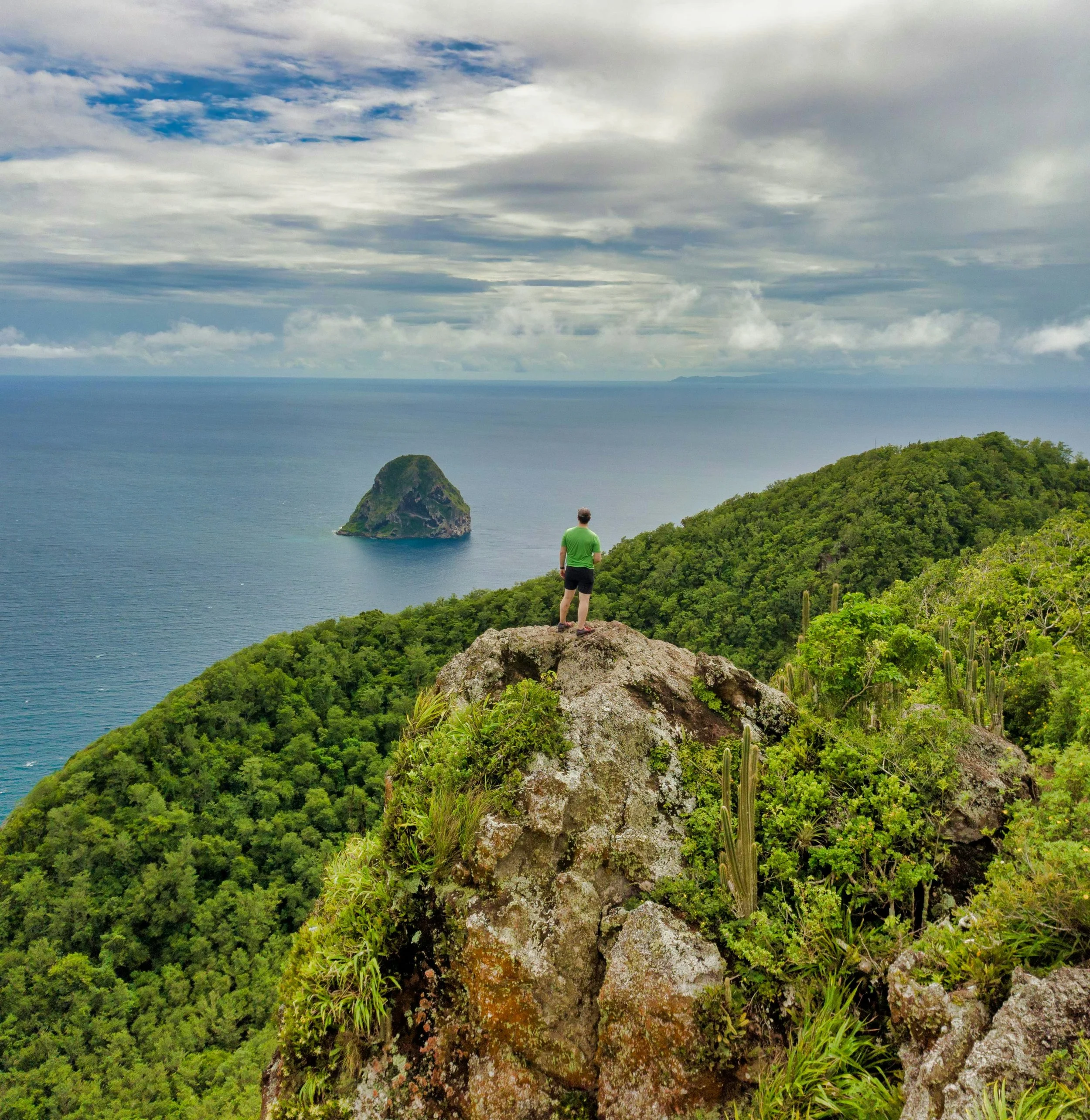 Un homme debout sur un rocher, regardant l'océan avec une petite île en arrière-plan, entouré de végétation luxuriante.