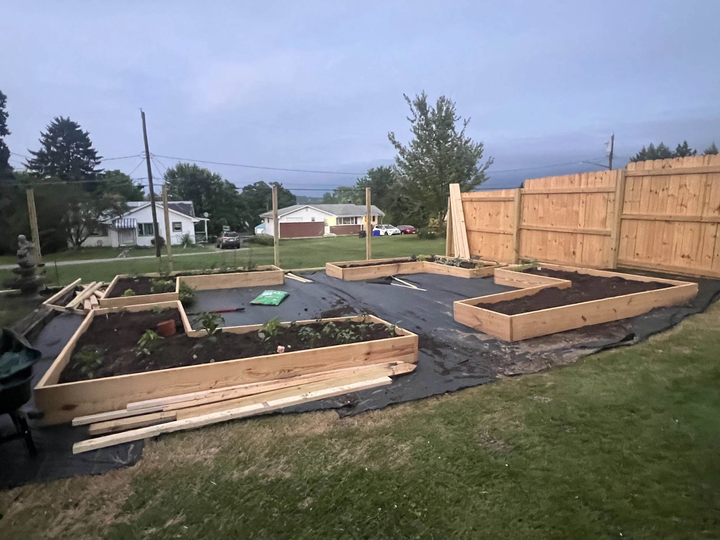 Newly built wooden garden beds in a backyard with a black landscape fabric underneath, a wooden privacy fence, and neighboring houses in the background at dusk.