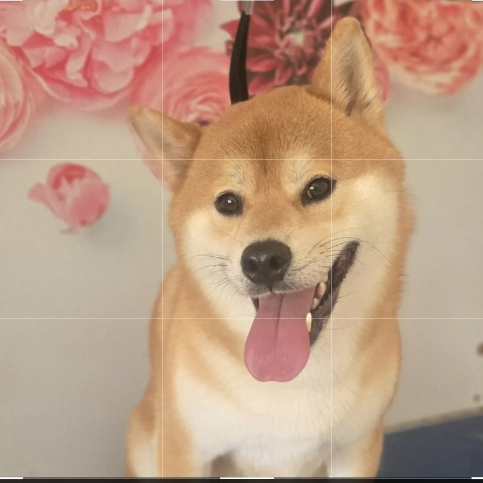 1000042241.jpg