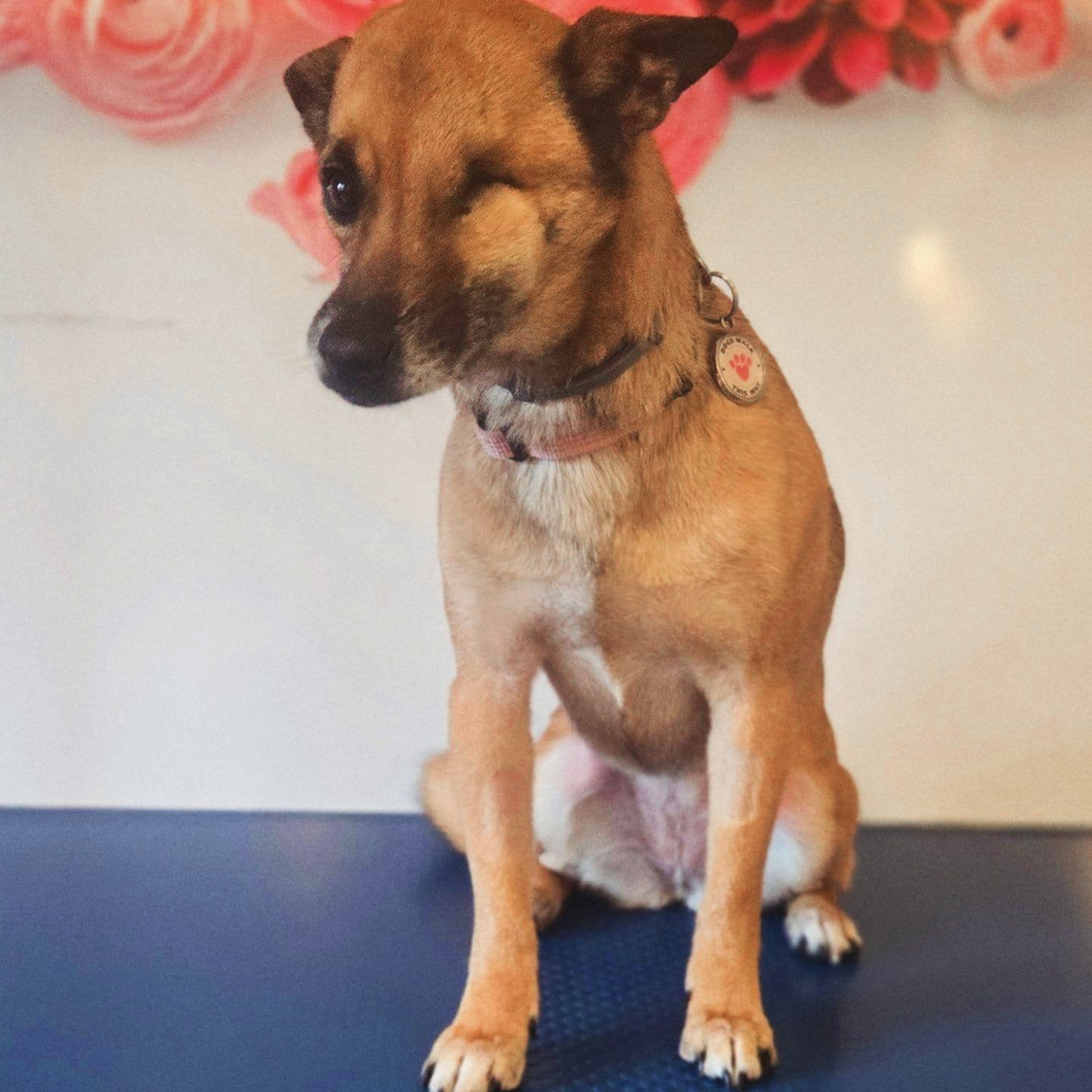 WhatsApp Image 2026-03-02 at 09.38.52.jpeg