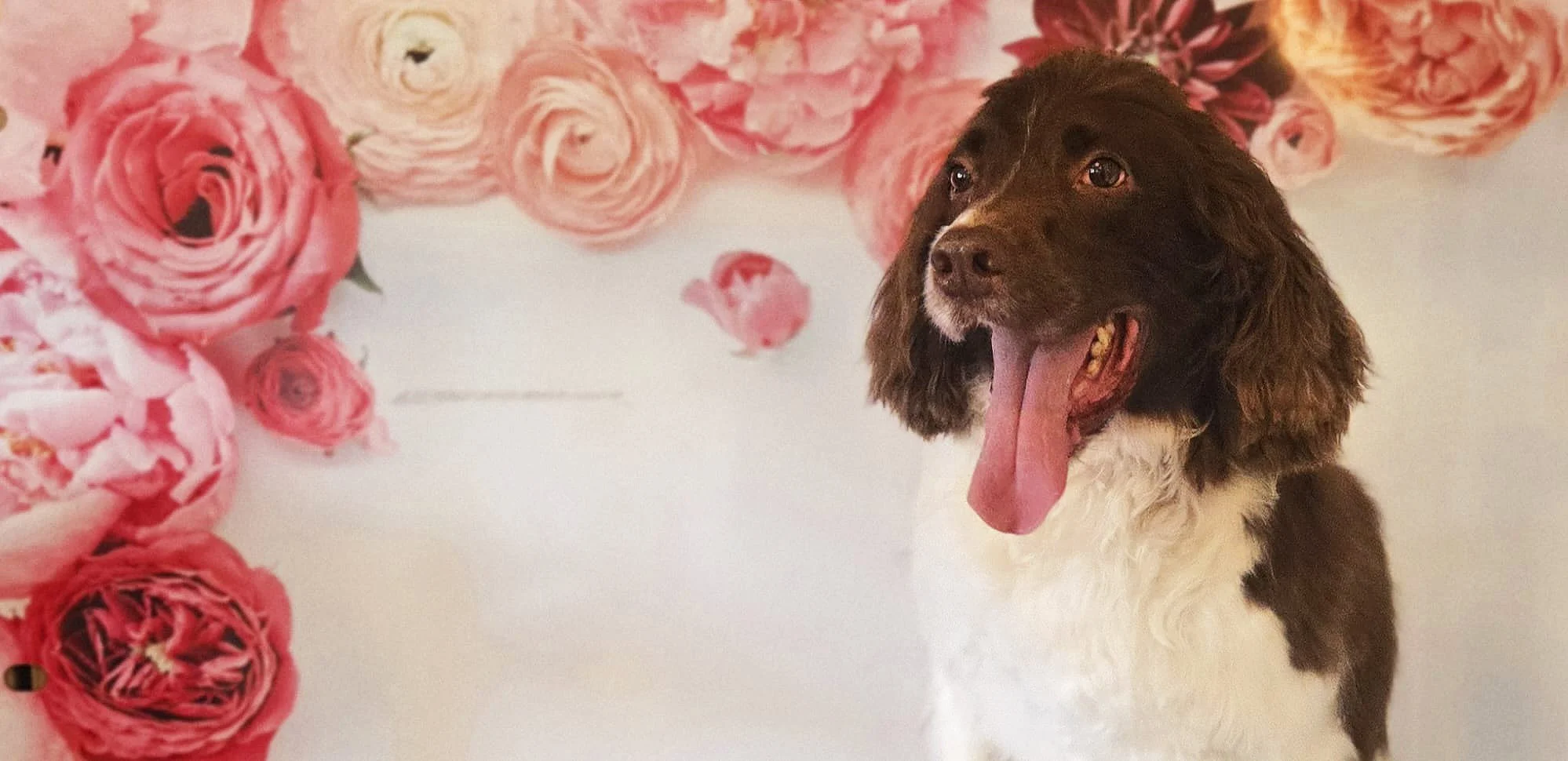 WhatsApp Image 2026-03-01 at 14.57.24.jpeg