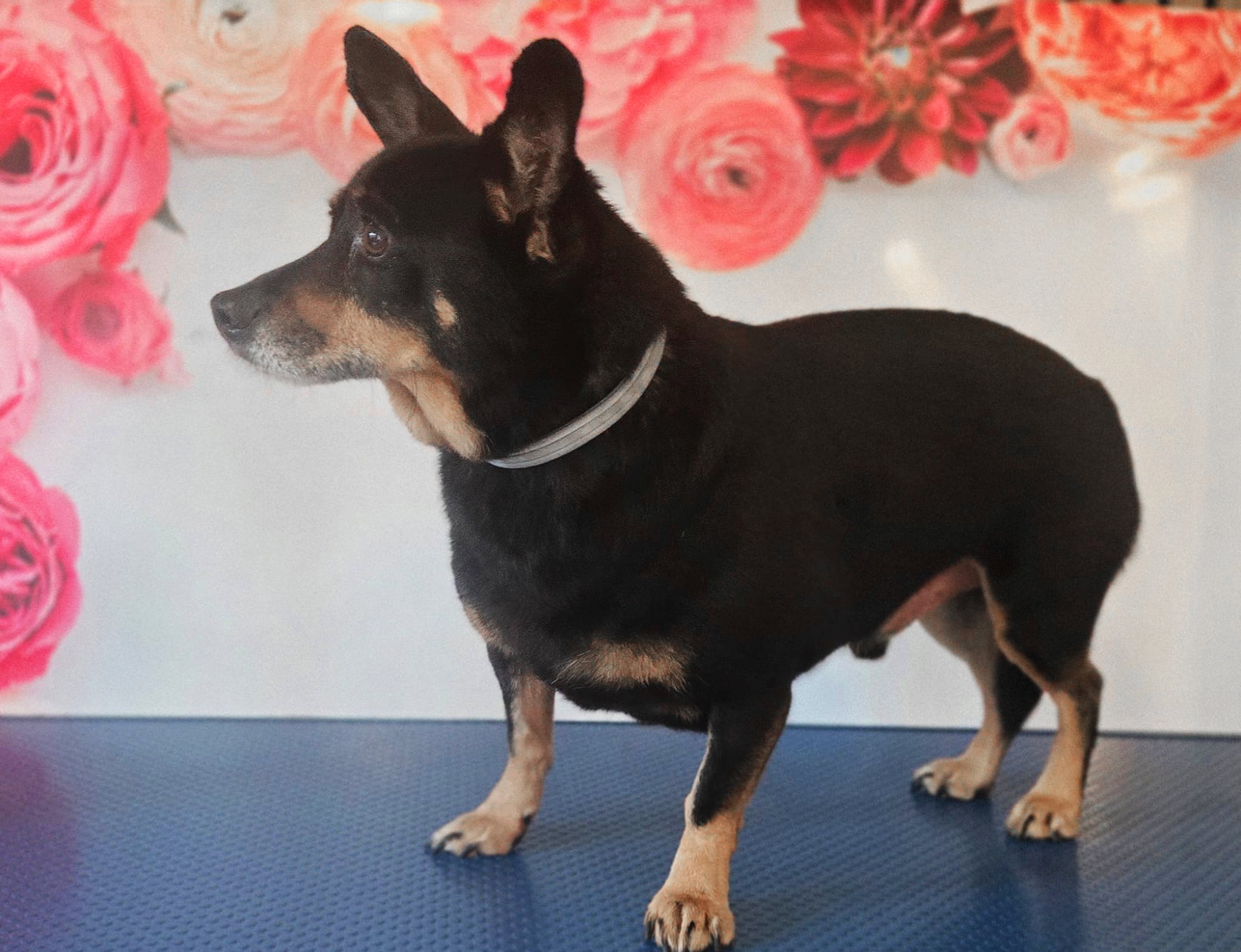 WhatsApp Image 2026-03-02 at 09.40.24.jpeg