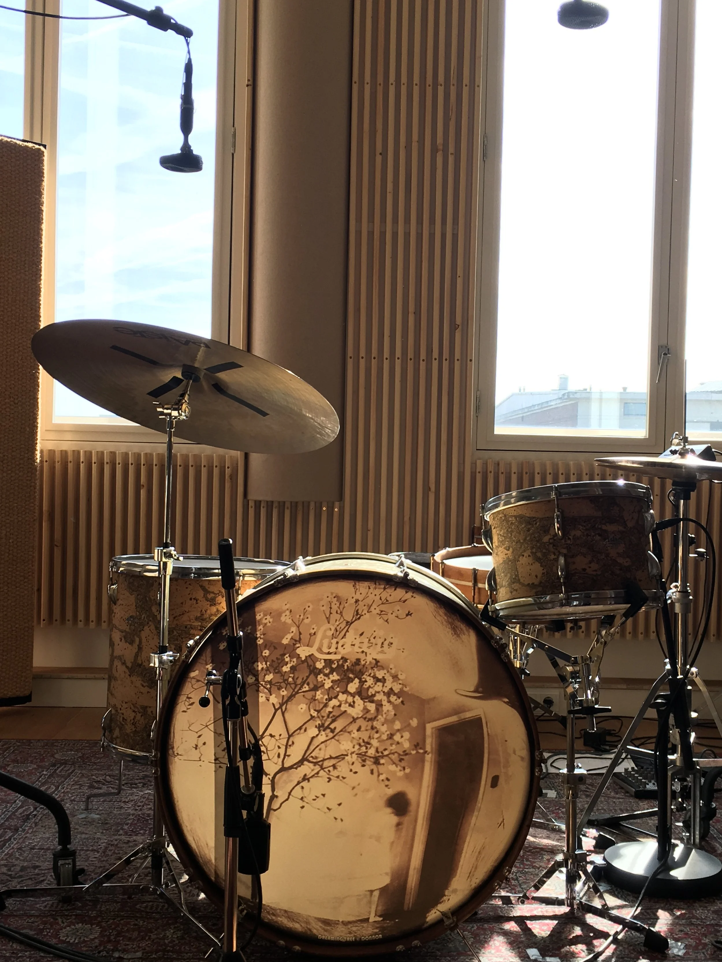 Big Ludwig bass drum with blossom tree image as front head. Asba Cork toms and Leedy single tension snare drum in a recording studio in front of wooden panels. Golden hour light.