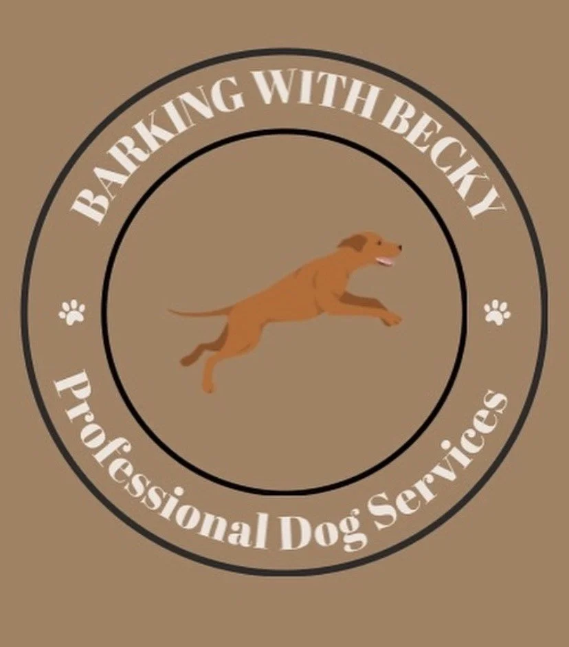Logo with a running dog in the center, surrounded by the text 'Barking With Becky Professional Dog Services' in a circular arrangement on a brown background.