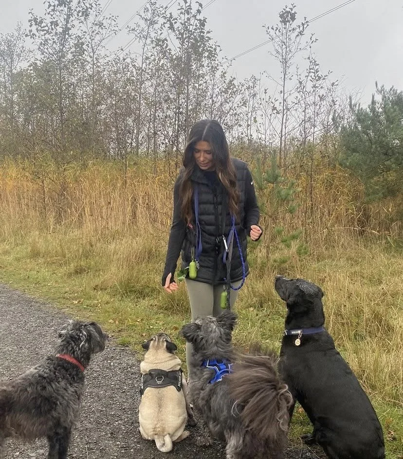 A woman walking with four dogs on an outdoor trail with tall grasses and trees in the background. Group dog walks. Dog walkers Newcastle. Dog walkers in Benton. Dog walkers in Heaton. Dog walkers in Jesmond. Group dog walks in Benton. Group dog walks